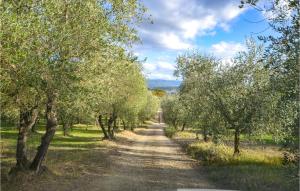 Φυσικό τοπίο κοντά σε αυτό το διαμέρισμα