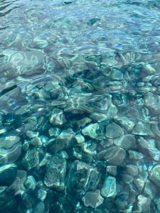 a group of rocks in the water at La Lunita in Valverde
