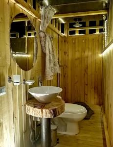 y baño con lavabo y aseo. en Andes Glamping, en Guatavita