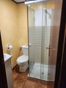 a bathroom with a toilet and a glass shower at El Apartamento in Ateca
