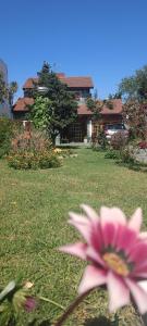 une fleur rose dans l'herbe devant une maison dans l'établissement Casa Olivia- Alojamiento con piscina - Aeropuerto Ezeiza, à Ezeiza