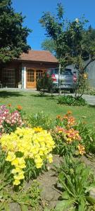 un giardino di fiori di fronte a una casa di Casa Olivia- Alojamiento con piscina - Aeropuerto Ezeiza a Ezeiza