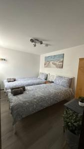 Palaz 8 - One Bedroom Flat في إدمونتون: غرفة نوم بسريرين في غرفة