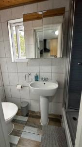 a bathroom with a sink and a toilet and a mirror at Palaz 8 - One Bedroom Flat in Edmonton