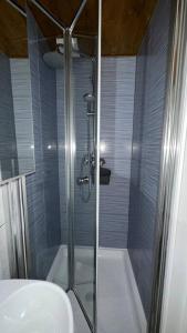 a bathroom with a shower with a toilet and a sink at Palaz 8 - One Bedroom Flat in Edmonton