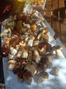 Cibo presso l'appartamento o nelle vicinanze