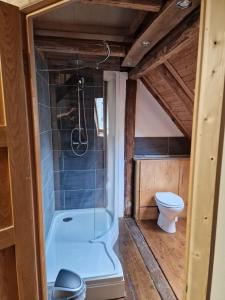Koupelna v ubytování Hisa Luciano For 5 Near Bovec