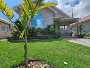une maison avec un palmier dans la cour dans l'établissement Royal Villa, Caymanas Country Club, à Spanish Town