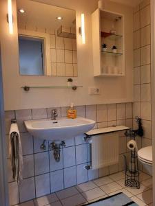 a bathroom with a sink and a toilet at Pension Kricklsäge in Philippsreut