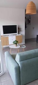 Et tv og/eller underholdning på Appartement T2 proche lac