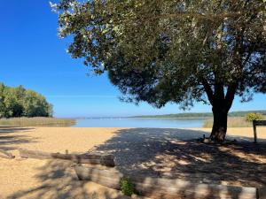 Naturlandskabet i nærheden af lejligheden + 3 billeder