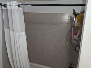 漢密爾頓的住宿－Home of Pleasantness，浴室内配有白色淋浴帘。