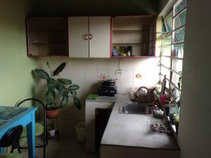 eine Küche mit einer Spüle und einer Theke mit Pflanzen in der Unterkunft Apartamento-Galería de arte Cielo y Tierra in Medellín