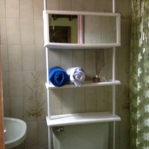 ein weißes Regal in der Ecke eines Badezimmers in der Unterkunft Apartamento-Galería de arte Cielo y Tierra in Medellín