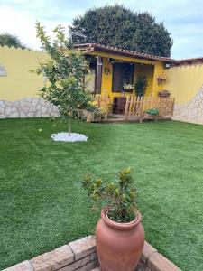 una casa con un patio con una planta en una olla en Casa Nuvola, en SantʼAndrea