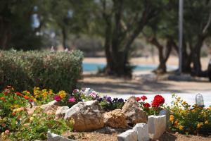 Ein Garten an der Unterkunft Paros Inn Seafront