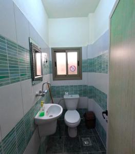 een badkamer met een toilet en een wastafel bij Extra Experiment in Aqaba