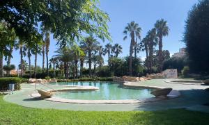 een zwembad in het midden van een park met palmbomen bij Casa Marian in Gran Alacant
