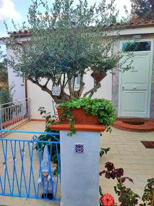 Balkón nebo terasa v ubytování La casetta degli ulivi + 33 fotografií