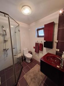 a bathroom with a toilet and a sink and a shower at Casa verde 2 in Pantelimon +32 photos