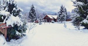 un patio cubierto de nieve con una casa y árboles en Casa de sub Sipote en Porumbacu de Sus