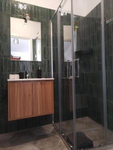 bagno con doccia e lavandino di Domus Al.Me a Castelmezzano