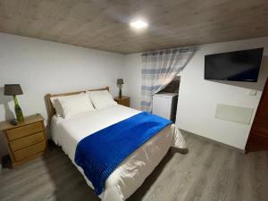a bedroom with a bed with a blue blanket and a tv at Abrigo do Outeiro - Serra Da Estrela in Cabeça