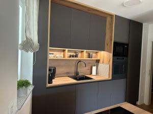 Kuchyň nebo kuchyňský kout v ubytování Apartment Deluxe Ossiacher See - Gerlitzen