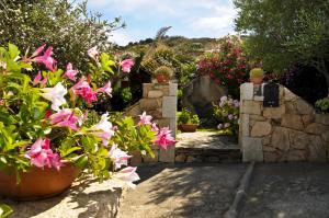 un jardín con flores rosas y un camino de piedra en Bandi, en San Teodoro