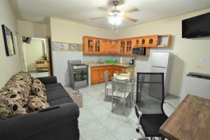 Il comprend un salon avec un canapé et une cuisine. dans l'établissement Cozy Locale Pearl, à Port Antonio