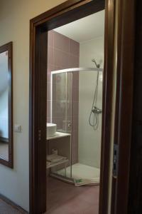 a bathroom with a shower with a glass door at Pensiunea Diva in Cacica