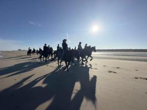 a group of people riding horses on the beach at Hotel Les Mouettes in Wenduine