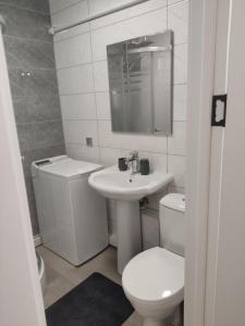 un bagno bianco con un water e un lavandino di Apart.Botanica a Chişinău
