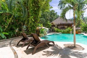 two chairs and a palm tree next to a swimming pool at Banana Beach Bungalows in Santa Teresa Beach