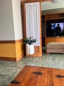 博卡德爾里奧的住宿－Sexto piso y vista al mar，一间客厅,内配盆栽植物和电视