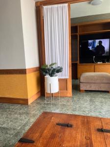 a living room with a potted plant and a television at Sexto piso y vista al mar in Boca del Río