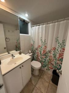 a bathroom with a toilet and a sink and a shower curtain at Reñaca departamento in Viña del Mar