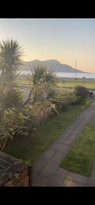 a walkway with palm trees on the side of a beach at Lamlash (holiday) Lets in Lamlash