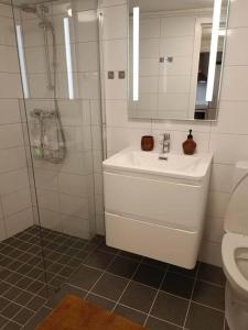 bagno con lavandino, doccia e servizi igienici di Cozy apartment close to downtown a Tromsø
