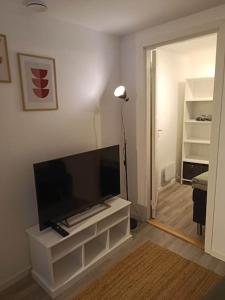 TV a/nebo společenská místnost v ubytování Cozy apartment close to downtown