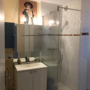 uma casa de banho com um lavatório e um chuveiro com um espelho. em My Emerald Lake em Tresserves