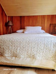 Gallery image of Alojamientos La Casita del Centro in Panguipulli