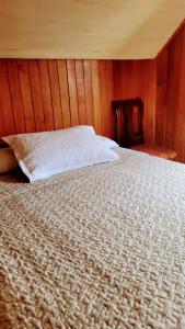 Gallery image of Alojamientos La Casita del Centro in Panguipulli +17 photos