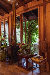 um quarto com uma mesa com vasos de plantas em Hotel Vendimia Parador em Santa Cruz