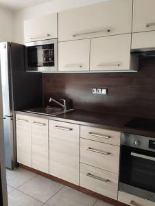 Köök või kööginurk majutusasutuses Zlín apartmán