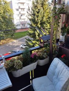 Posezení v ubytování Zlín apartmán