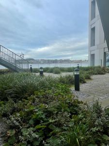 una pasarela junto a un edificio junto al agua en Stjernepladsen, en Aalborg