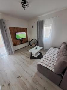 a living room with a couch and a flat screen tv at Apartment West Stara Pazova in Stara Pazova