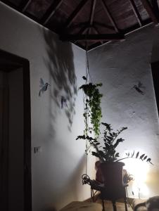 FirgasAcoran Family Guests House Firgas with Included Morning Yoga Practice的相册照片