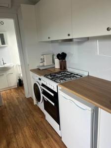 a kitchen with a stove and a dishwasher at Sweet Cute blue tiny home with Pool and 2 minute drive to the beach in Wollongong